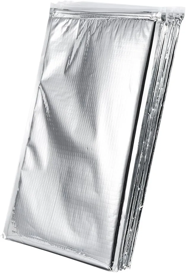 Aluminum Foil Insulated Food Storage Bag Thermal Cooler Silver Pack for Picnic Camping Lunch Daily Use