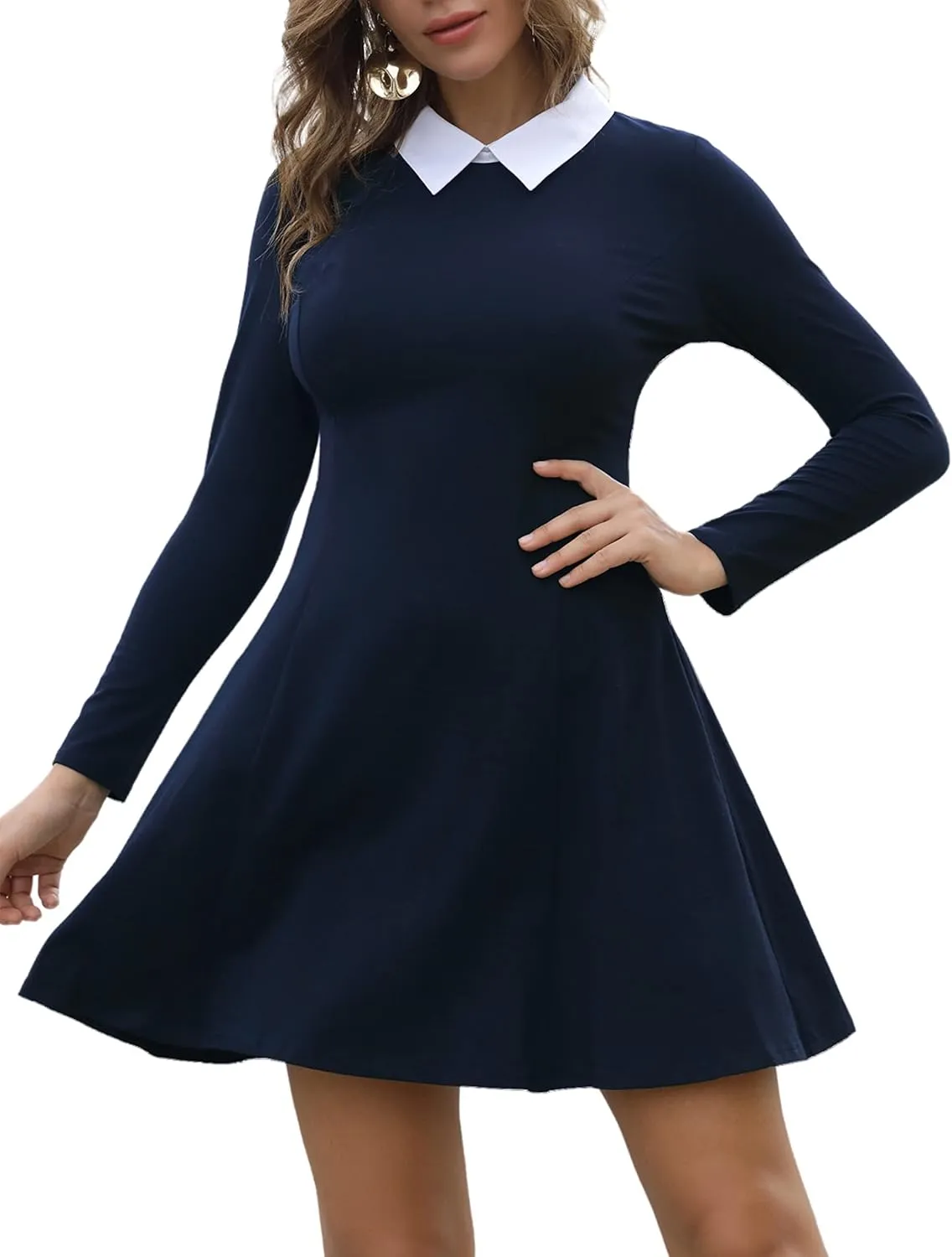 Aphratti Women's Long Sleeve Fall Dresses 2025 Casual Peter Pan Collar A Line Fit and Flare Skater Goth Dress