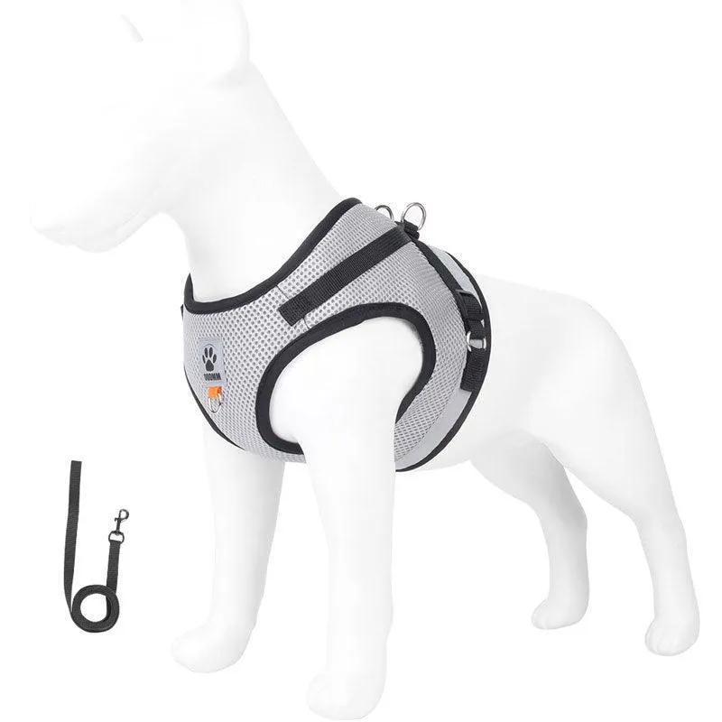 Basic Cat Harness Escape Proof 4 Color Leash Set Cat Lead