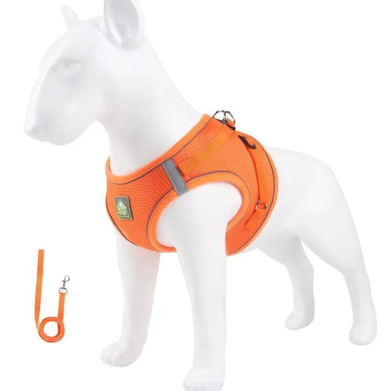Basic Cat Harness Escape Proof 4 Color Leash Set Cat Lead