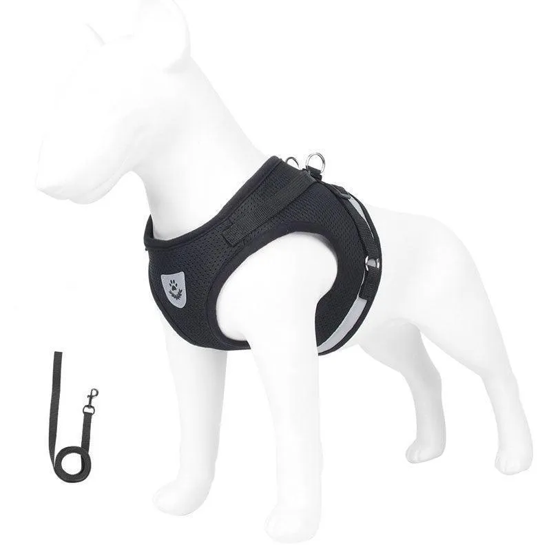 Basic Cat Harness Escape Proof 4 Color Leash Set Cat Lead