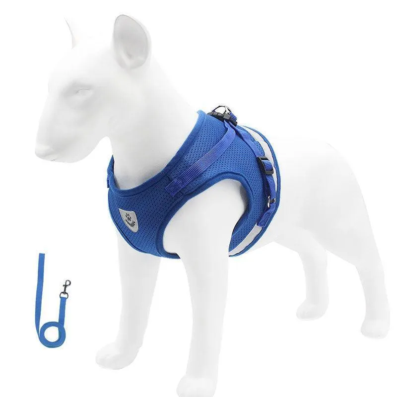 Basic Cat Harness Escape Proof 4 Color Leash Set Cat Lead