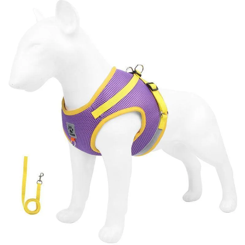Basic Cat Harness Escape Proof 4 Color Leash Set Cat Lead