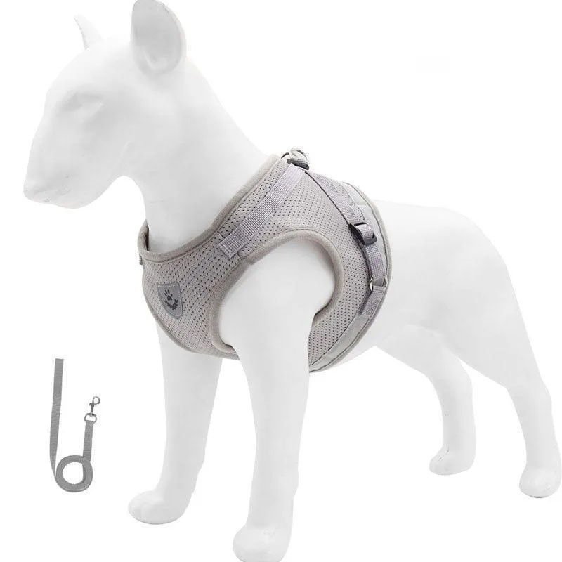 Basic Cat Harness Escape Proof 4 Color Leash Set Cat Lead