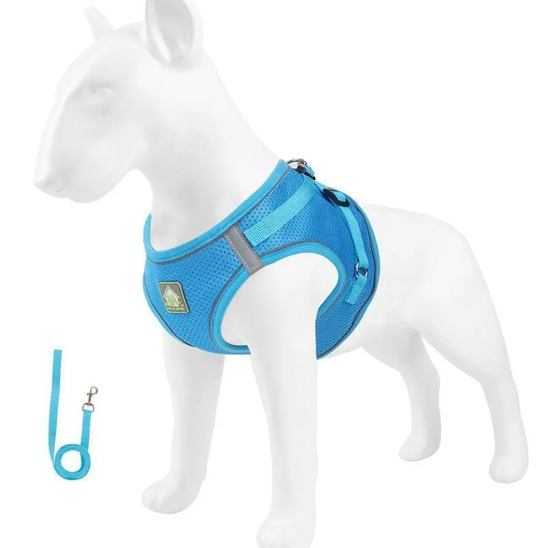 Basic Cat Harness Escape Proof 4 Color Leash Set Cat Lead