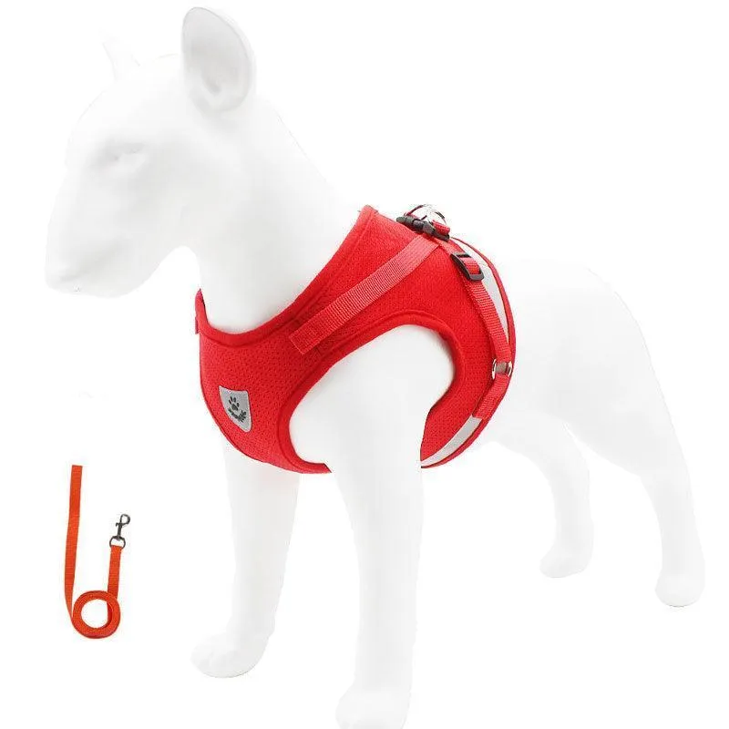 Basic Cat Harness Escape Proof 4 Color Leash Set Cat Lead