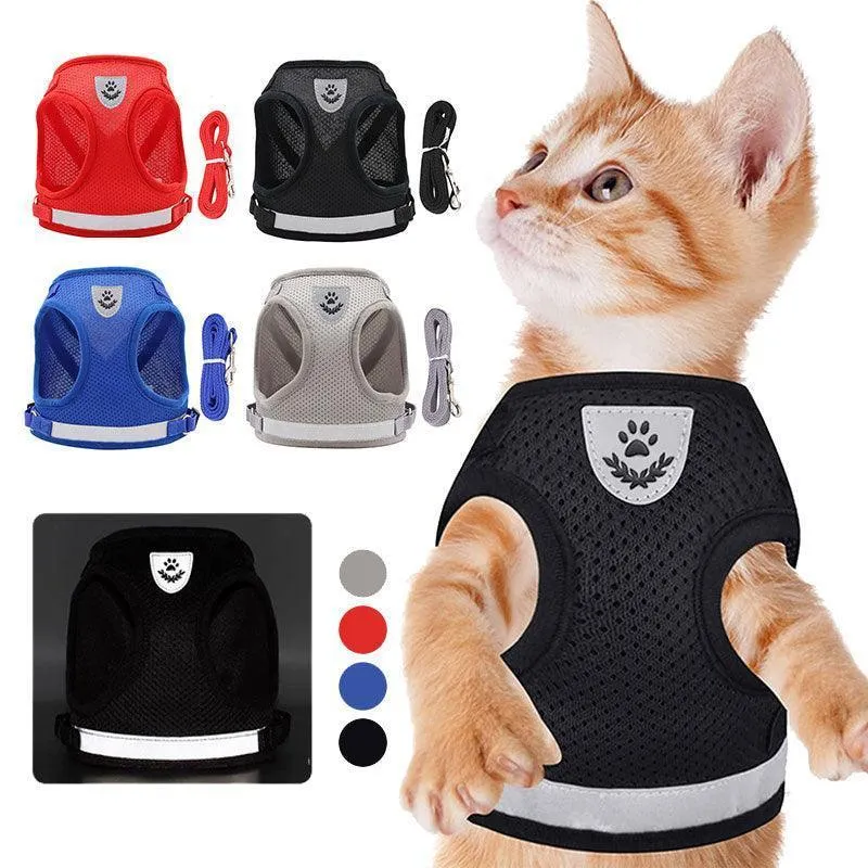 Basic Cat Harness Escape Proof 4 Color Leash Set Cat Lead