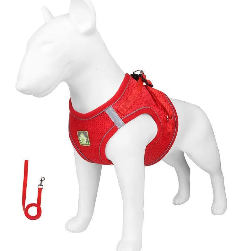 Basic Cat Harness Escape Proof 4 Color Leash Set Cat Lead