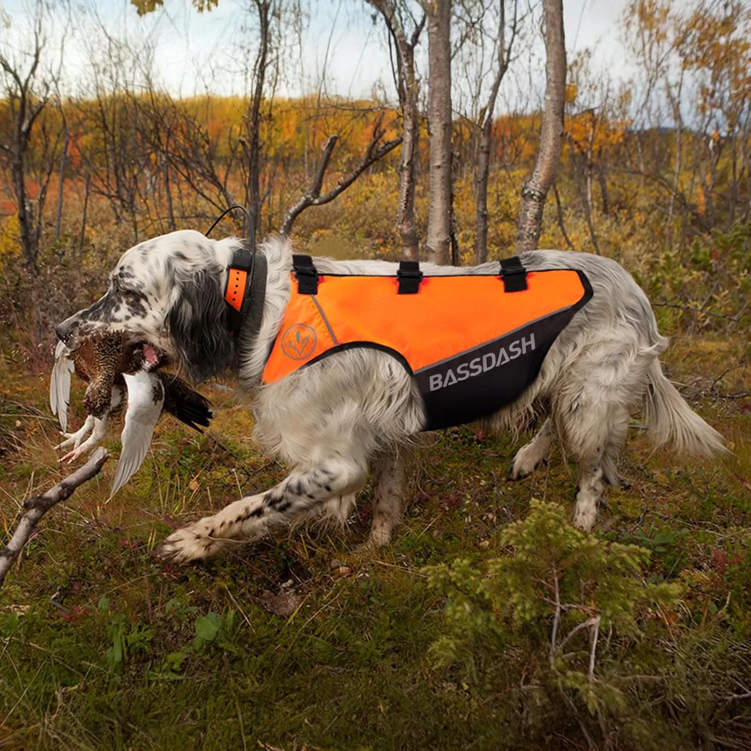 BASSDASH Dog Safety Vest Lightweight Water Resistant Chest Protection Blaze Orange Reflective High Visibility for Hunting Outdoor