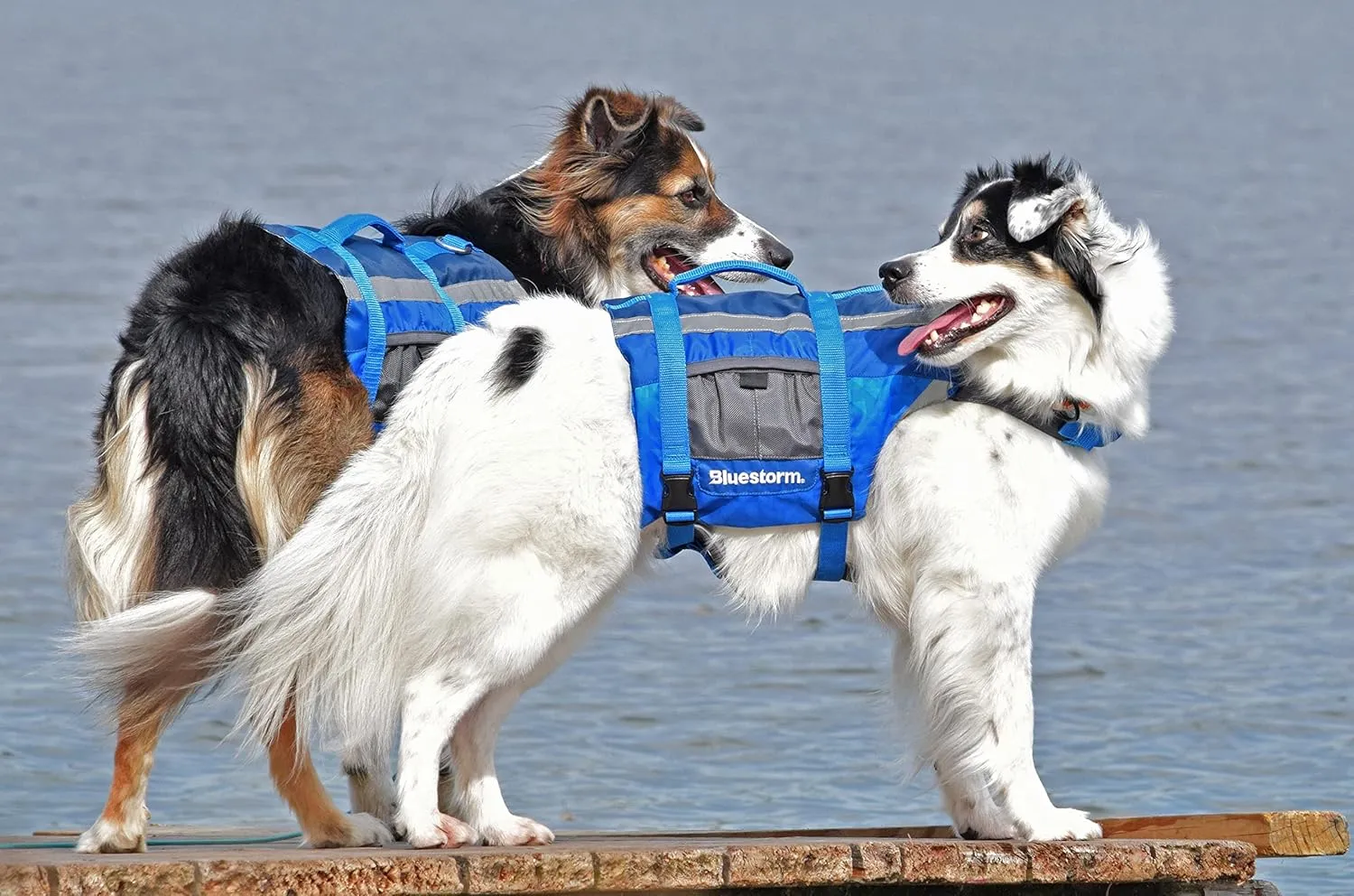BLUESTORM Advanced Dog Vest with Reflective Stripes/Adjustable Neck Strap | X-Small | Max5 Camo