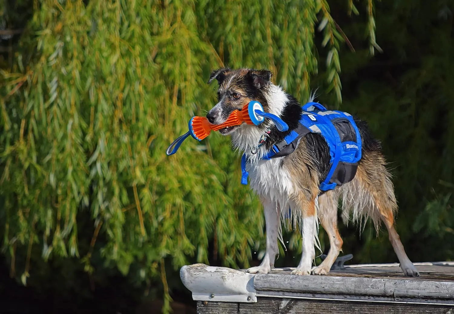 BLUESTORM Advanced Dog Vest with Reflective Stripes/Adjustable Neck Strap | X-Small | Max5 Camo