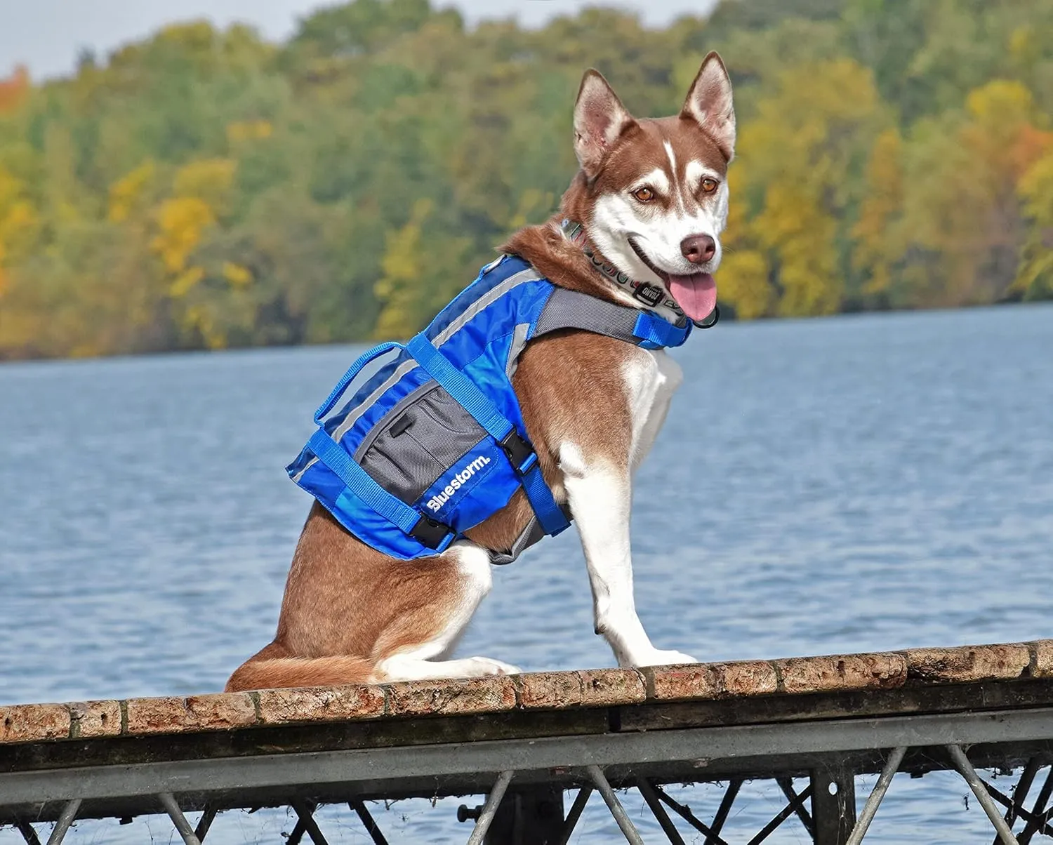 BLUESTORM Advanced Dog Vest with Reflective Stripes/Adjustable Neck Strap | X-Small | Max5 Camo