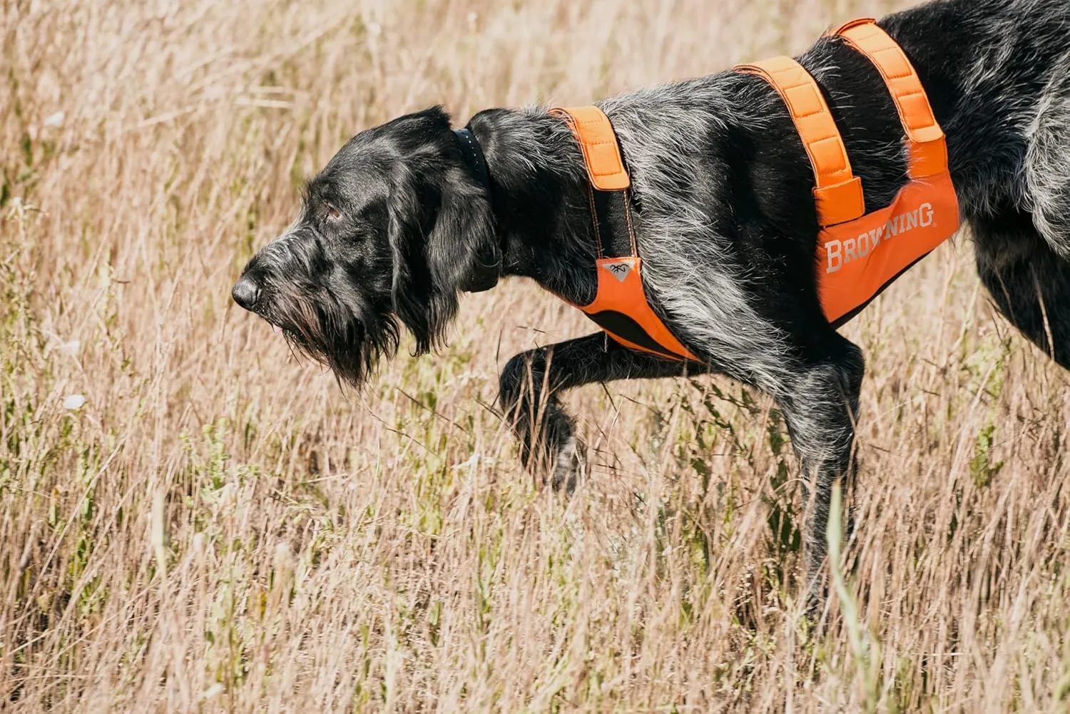 Browning Pet Hi-Vis Safety Vest for Dogs, Safety Orange, Large, Chest Protection