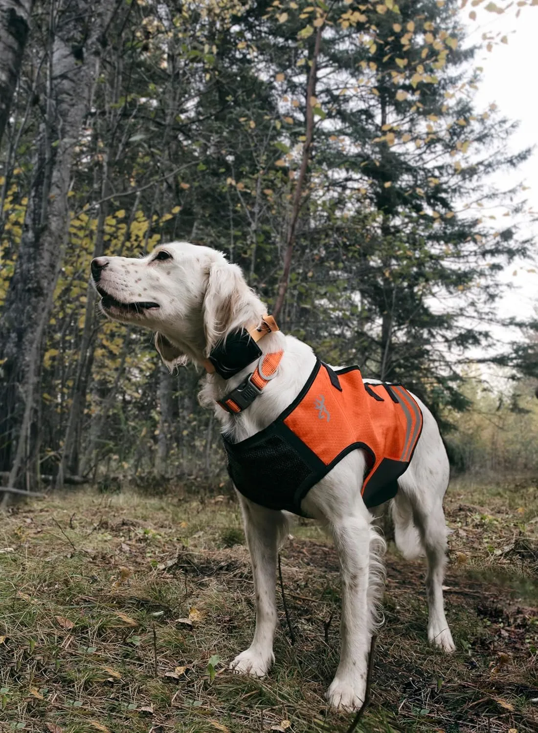 Browning Pet Vests, Hi Vis Safety Vests for Dogs, Saftey Orange/Black, Medium, Full Coverage