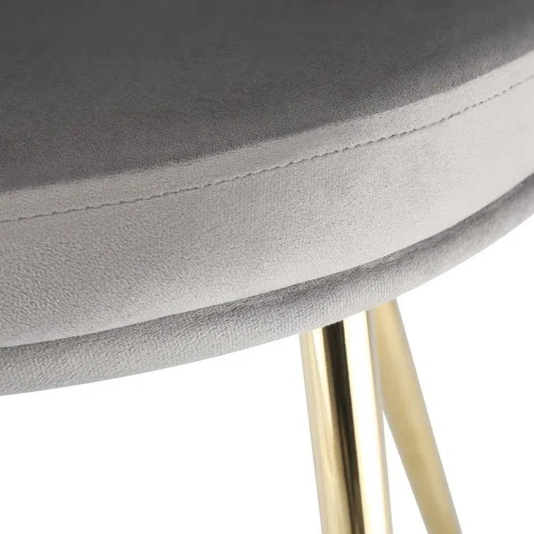 Daisy Velvet Accent Chair (Set of 2)