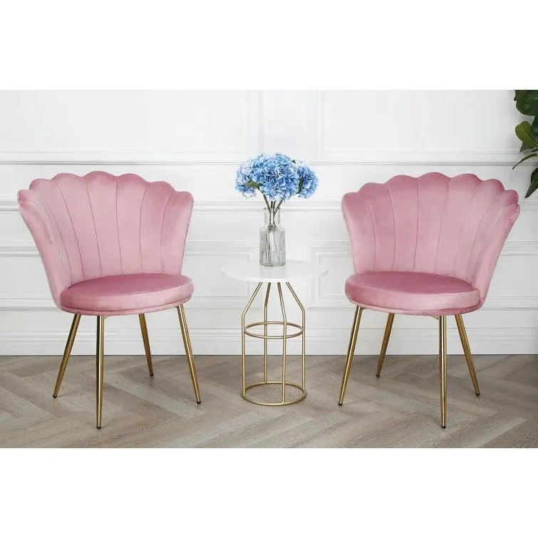 Daisy Velvet Accent Chair (Set of 2)