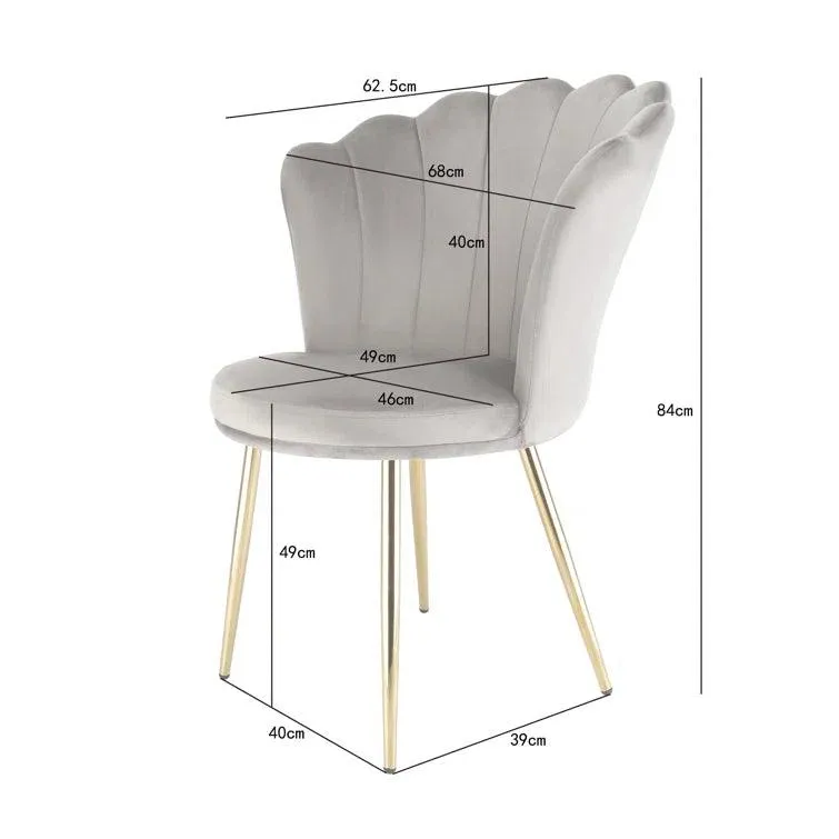 Daisy Velvet Accent Chair (Set of 2)