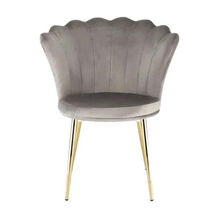 Daisy Velvet Accent Chair (Set of 2)
