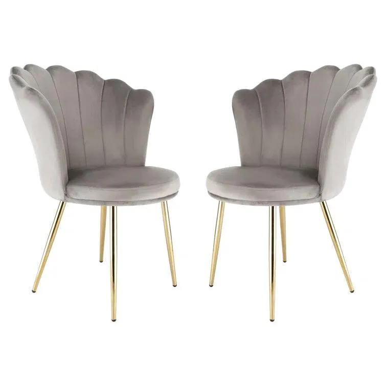 Daisy Velvet Accent Chair (Set of 2)