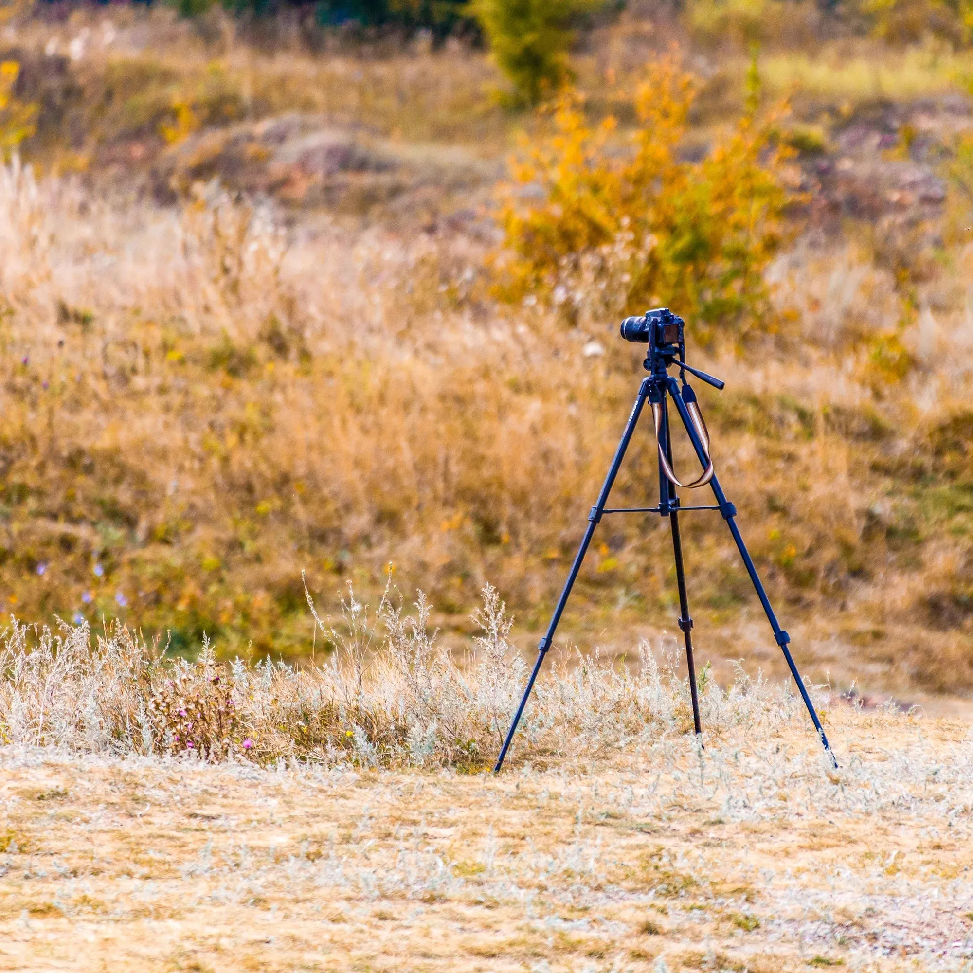 Digital Tripod | AF12440