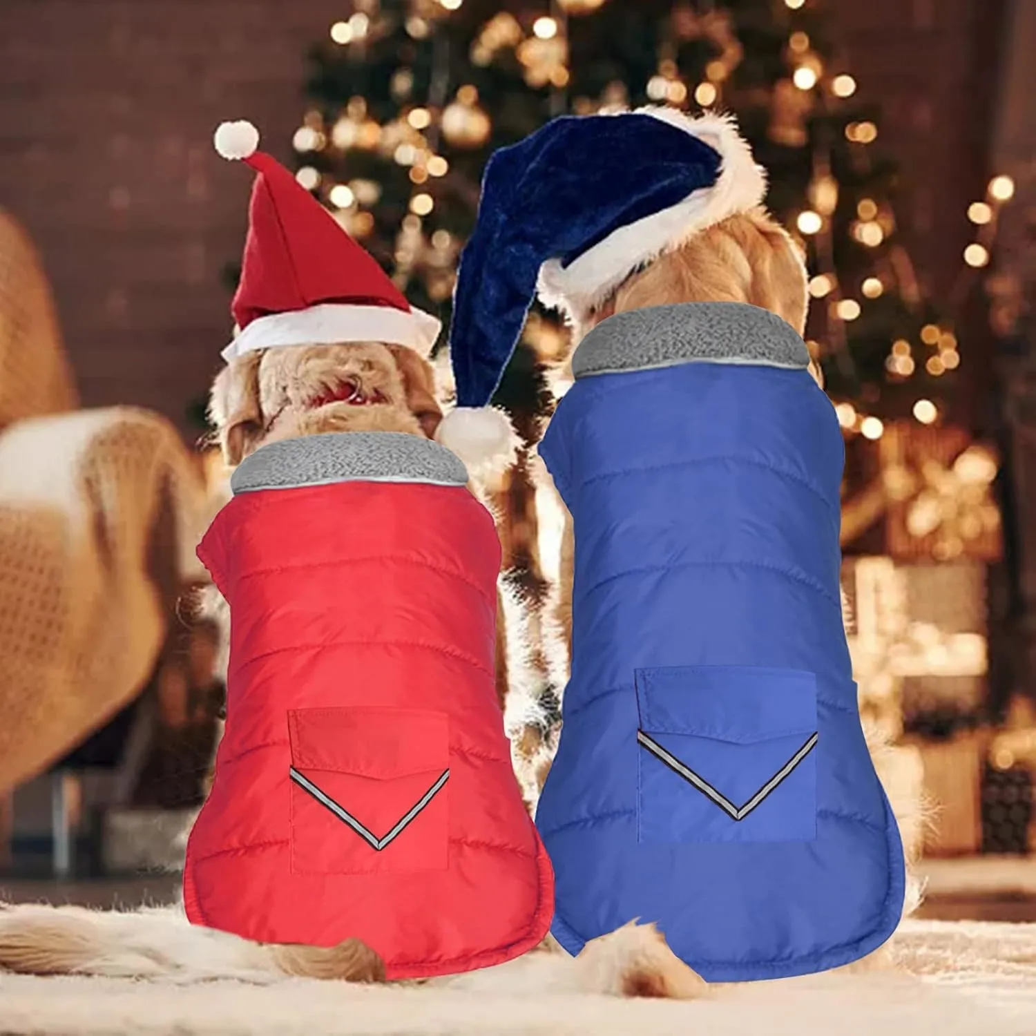 Dog Coat - Waterproof Winter Jacket with Pocket, Reflective Adjustable Snow Vest, Warm Cozy Fleece Sweater for Small to Extra Large Dogs - Blue, XS