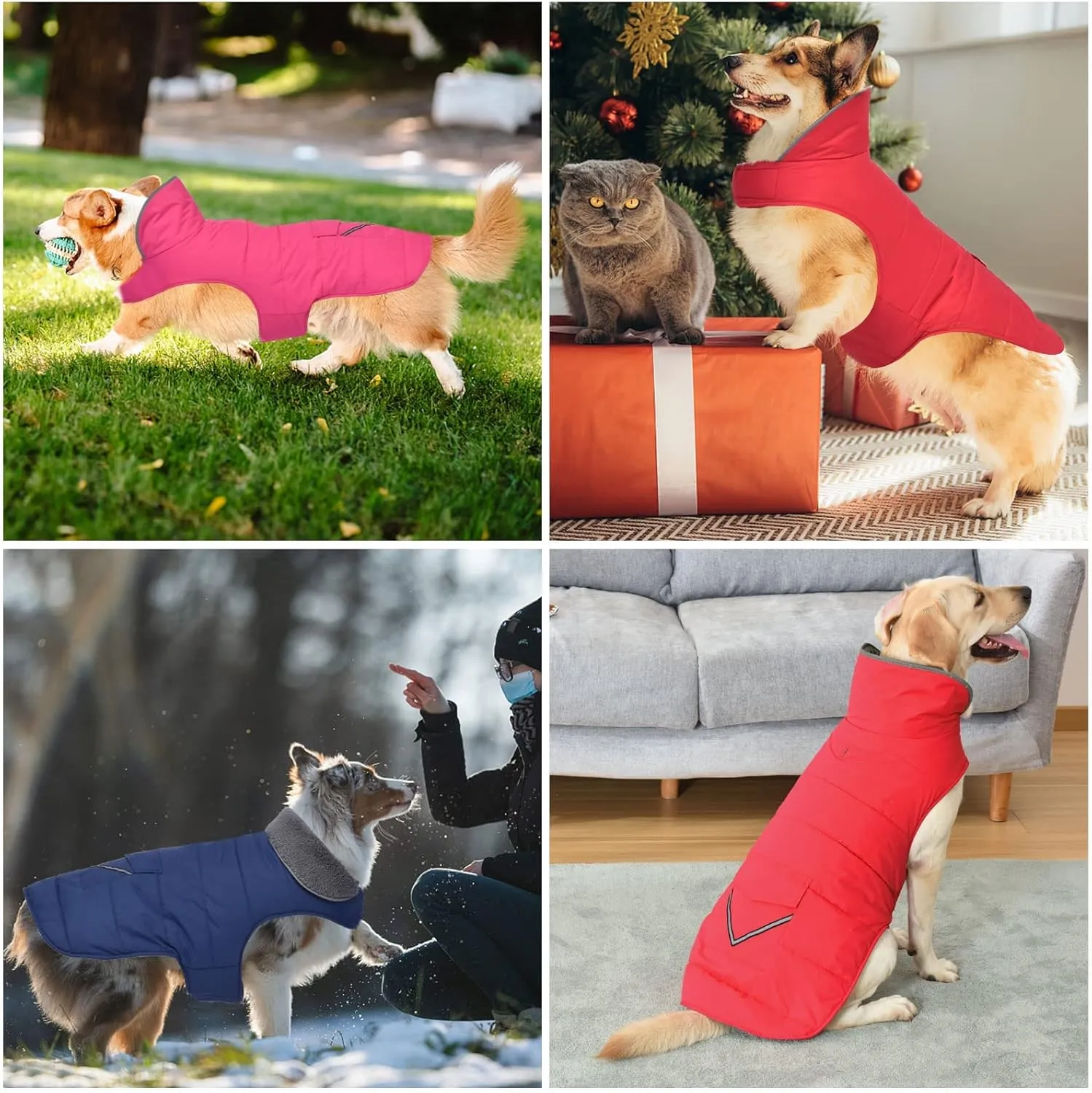 Dog Coat - Waterproof Winter Jacket with Pocket, Reflective Adjustable Snow Vest, Warm Cozy Fleece Sweater for Small to Extra Large Dogs - Blue, XS