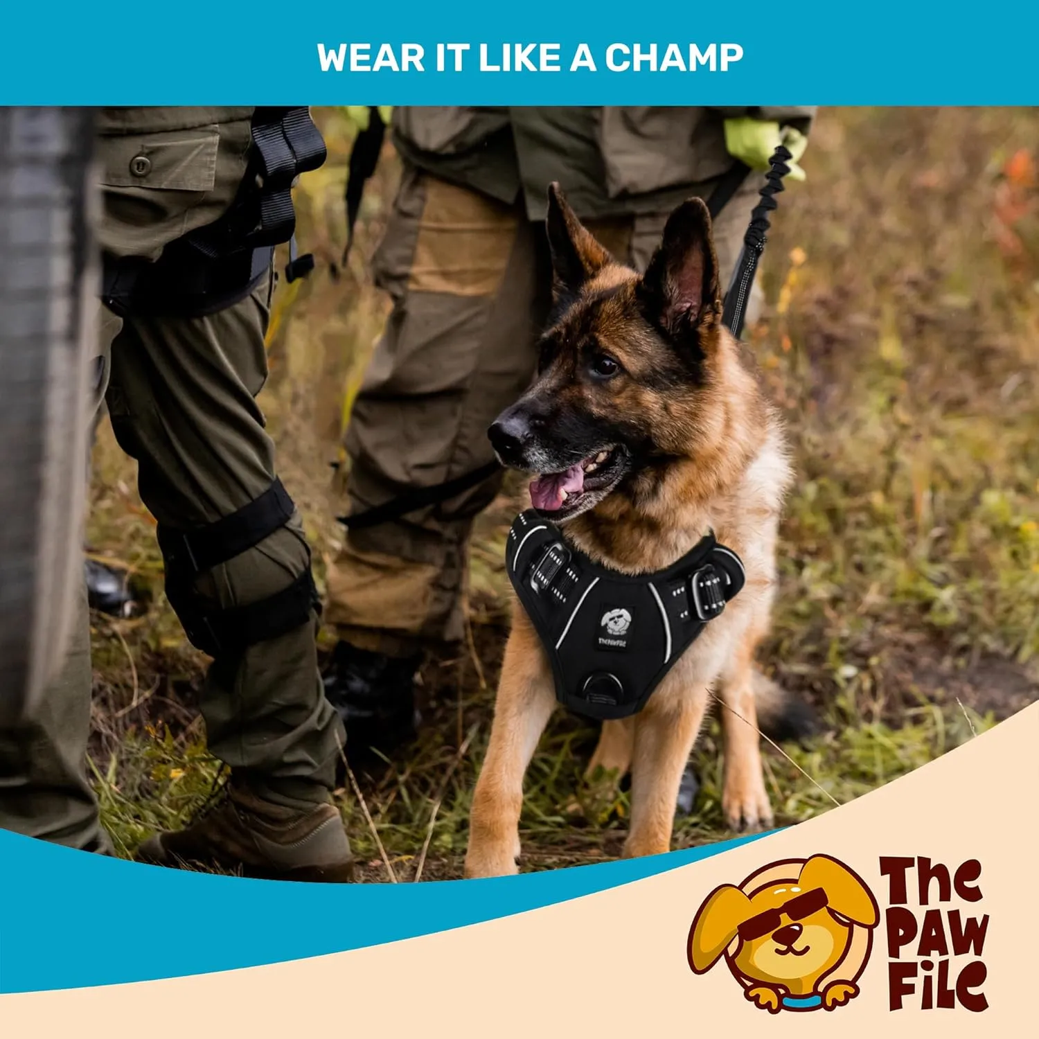 Dog Harness and Leash Set - No Pull Vest & Reflective Leash with Foam Handle, Adjustable Oxford Halter, for Walking & Training - Includes 150 Poop Bags & Bone-Shaped Dispenser - Black, M
