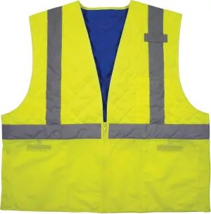Ergodyne unisex-adult Chill-its 6668 Hi-vis Safety Cooling Vest - Type R, Class 2