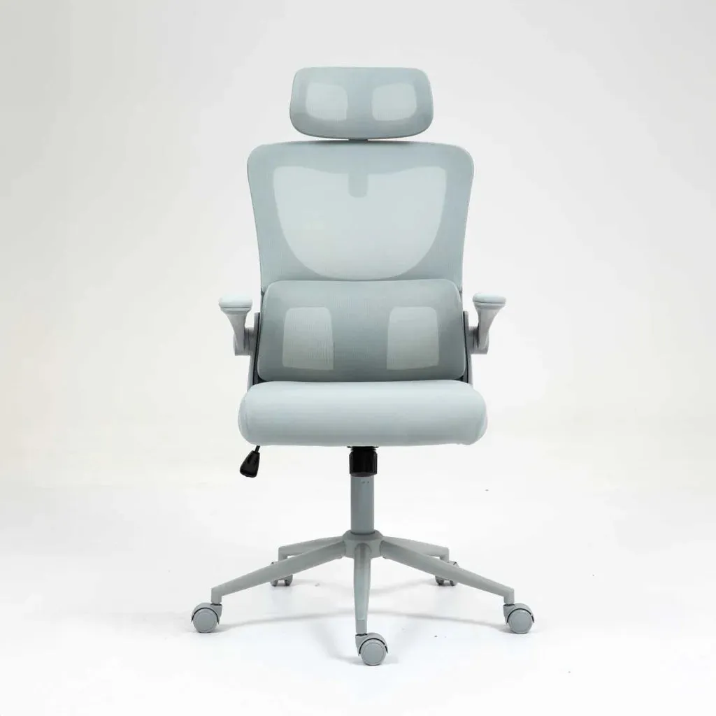 ERGONOMIC HIBACK DELUXE OFFICE CHAIR AH578