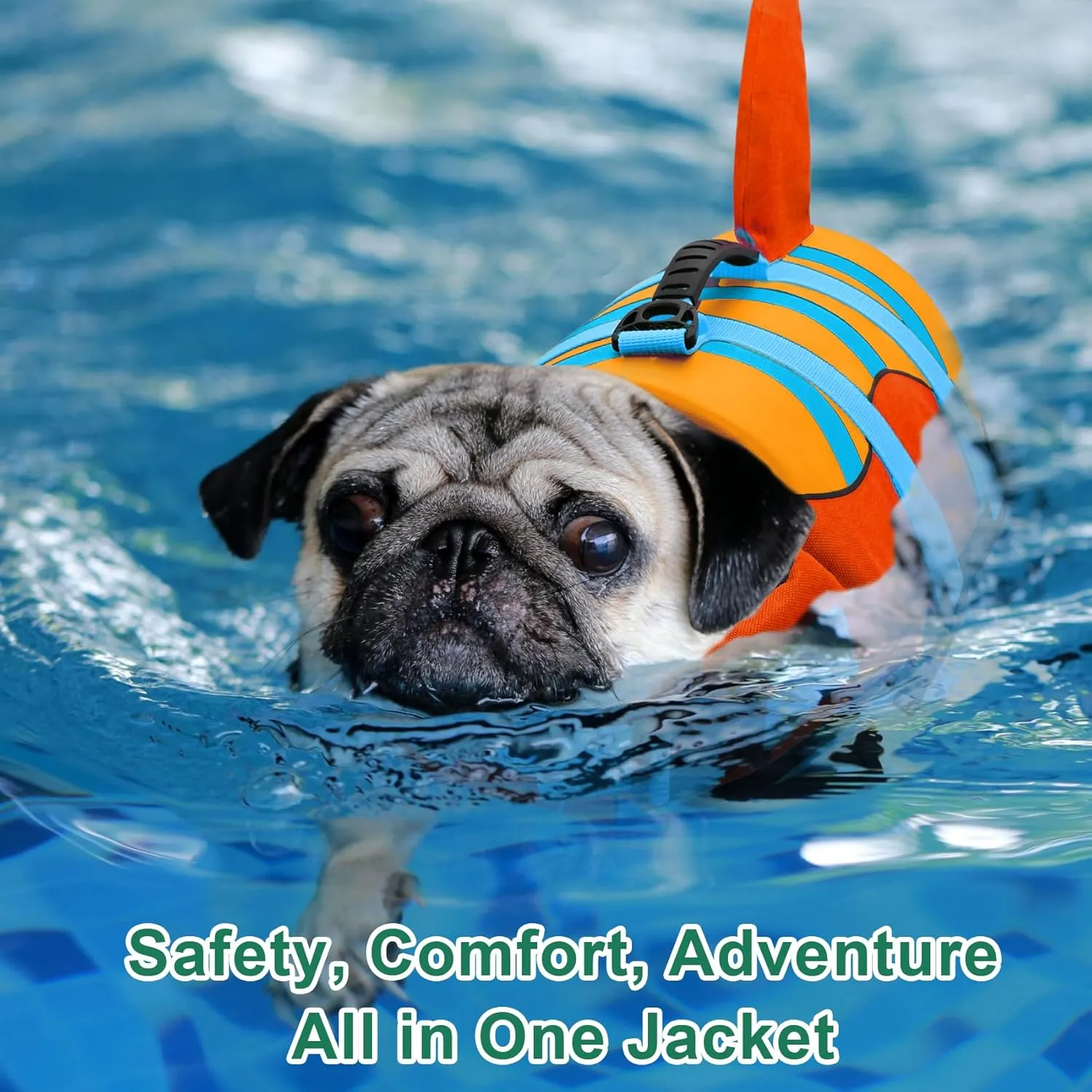 Fragralley Shark Dog Life Jacket, High Buoyancy with Tear-Resistant Nylon, Dog Float Vest for Swimming and Boating, Pet Life Preserver for Small Medium Large Dogs (PFD)