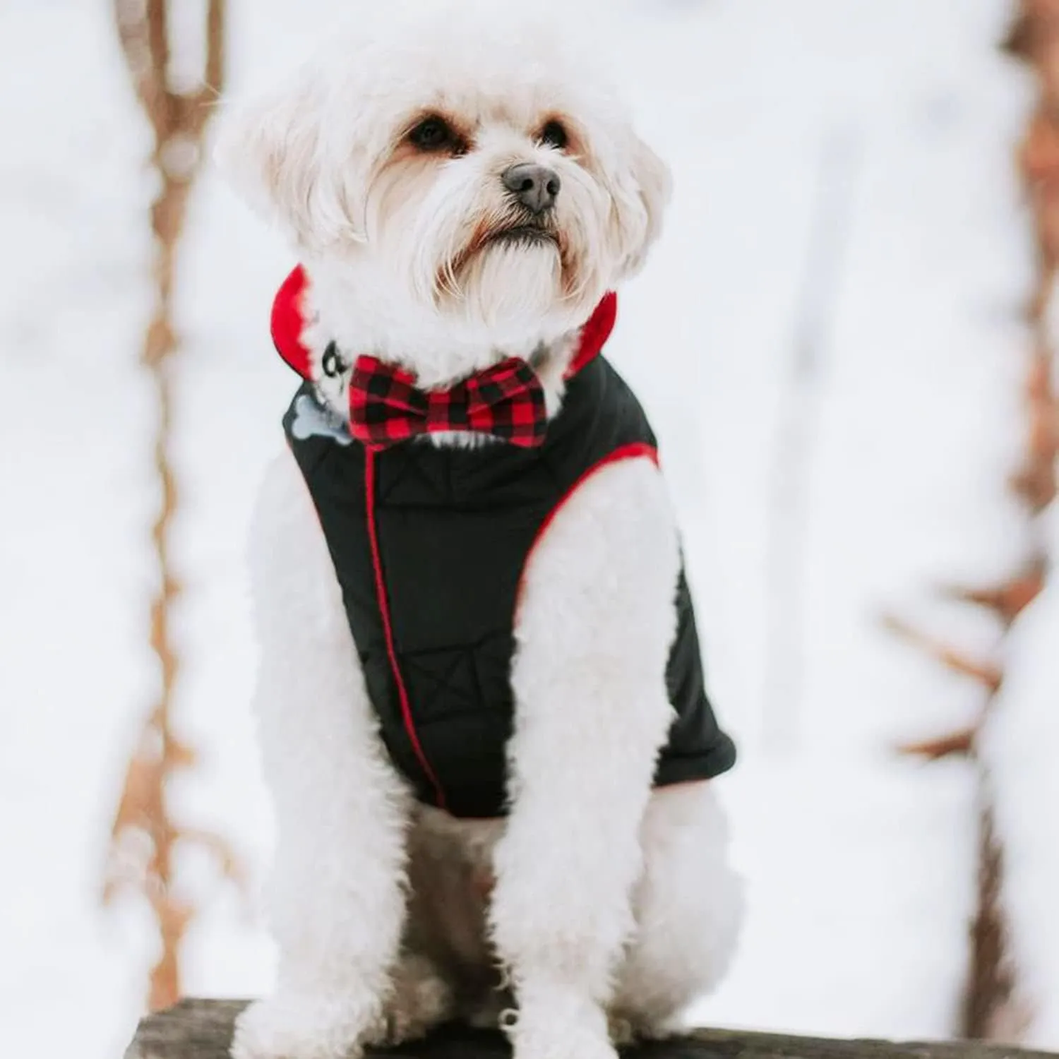 Gooby - Sports Vest, Fleece Lined Small Dog Cold Weather Jacket Coat Sweater with Reflective Lining, Black, Large