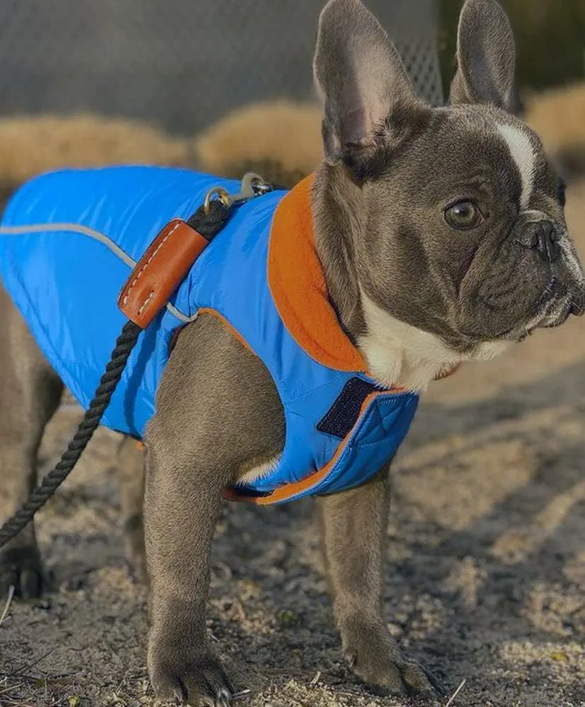 Gooby - Sports Vest, Fleece Lined Small Dog Cold Weather Jacket Coat Sweater with Reflective Lining, Blue, Small