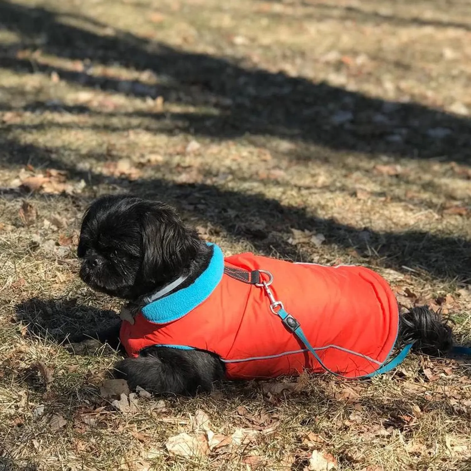 Gooby - Sports Vest, Fleece Lined Small Dog Cold Weather Jacket Coat Sweater with Reflective Lining, Orange, Small
