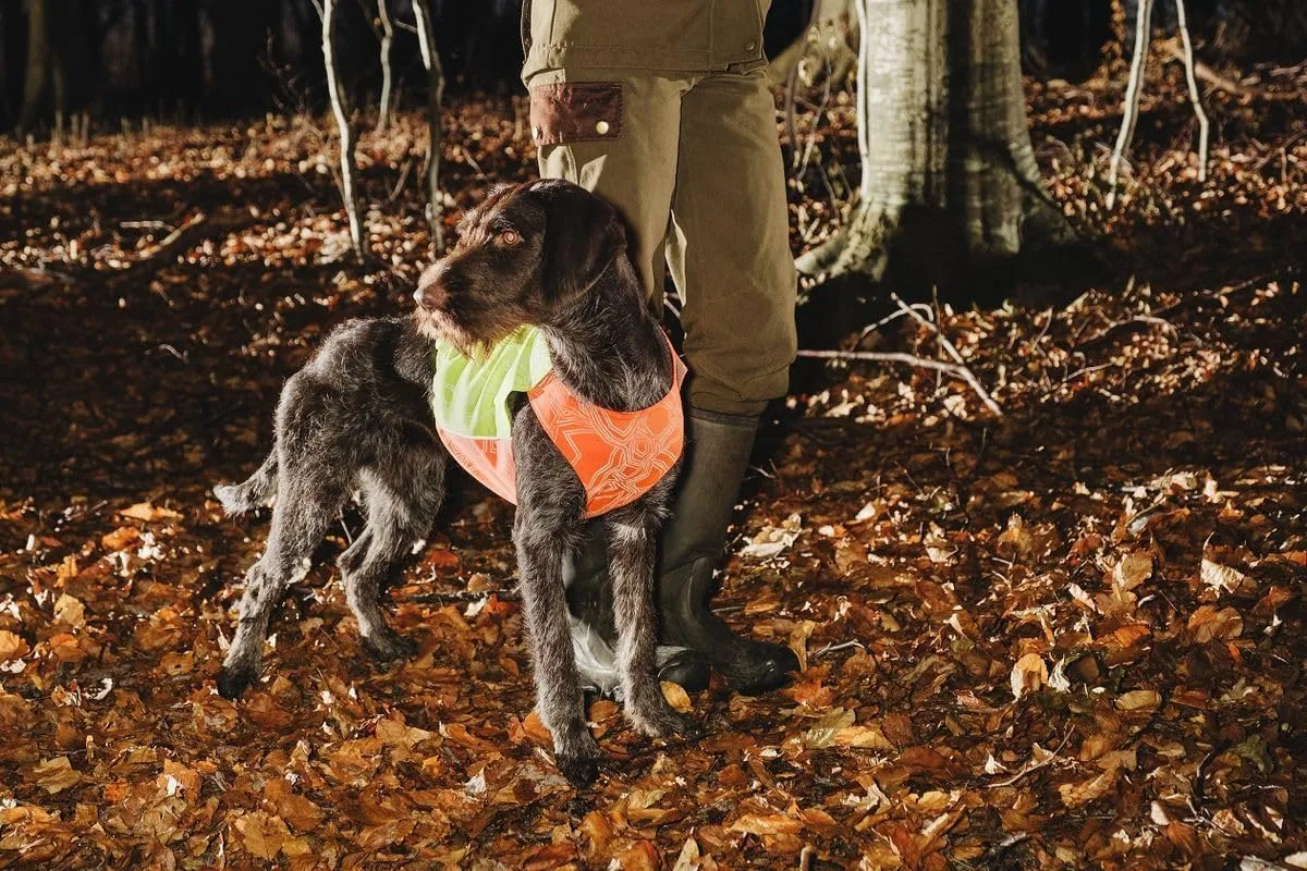 Hurtta Ranger Vest, Hunting/Sportsman Dog Vest, Orange, XXL