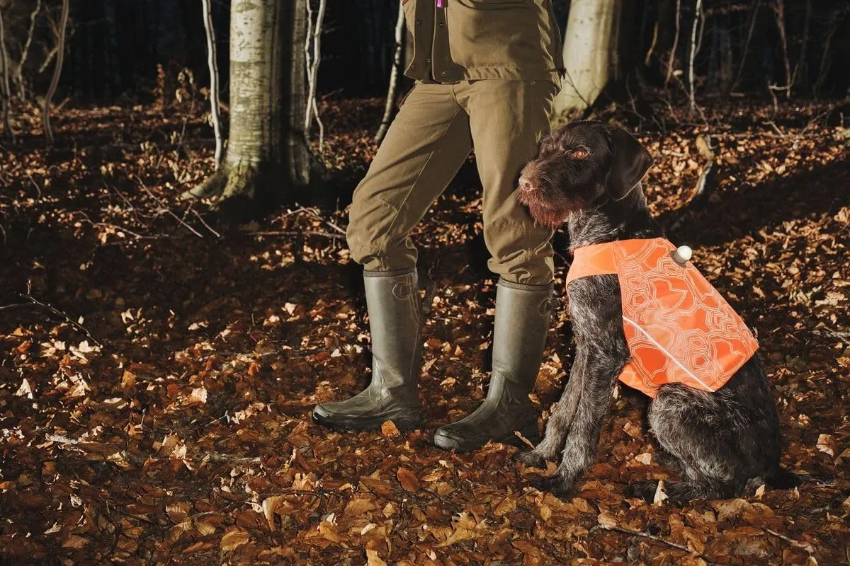 Hurtta Ranger Vest, Hunting/Sportsman Dog Vest, Orange, XXL