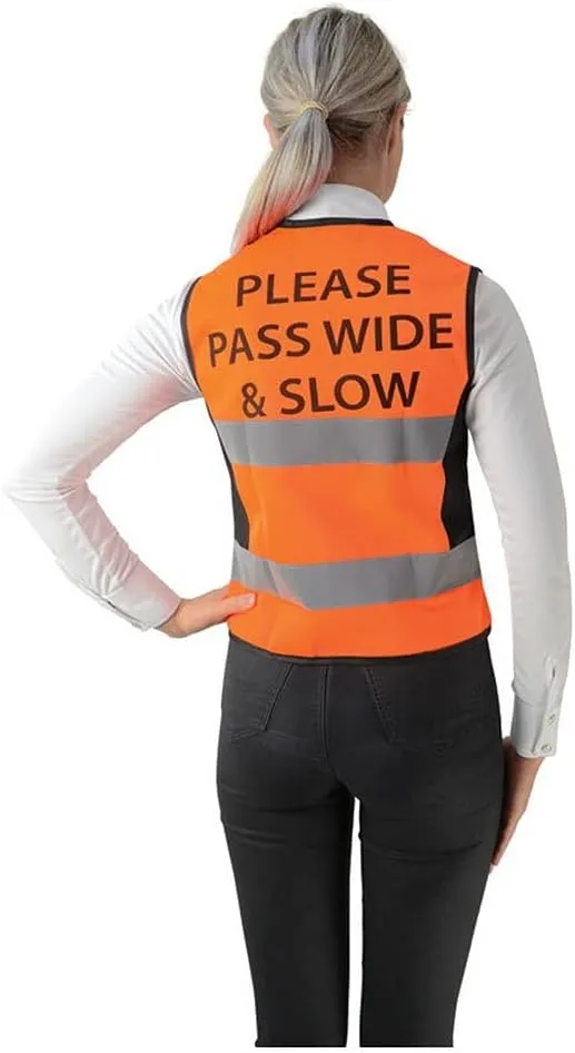 HyVIZ Womens/Ladies High-Vis Vest (XXS) (Orange/Black)