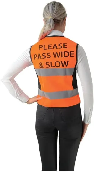 HyVIZ Womens/Ladies High-Vis Vest (XXS) (Orange/Black)