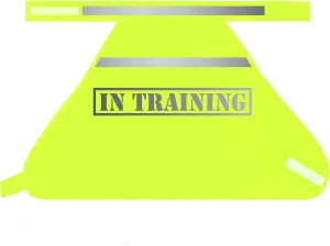 in Training High Visability Hi Vis Neon Yellow Reflective Safety Dog Vest for Night (Small)