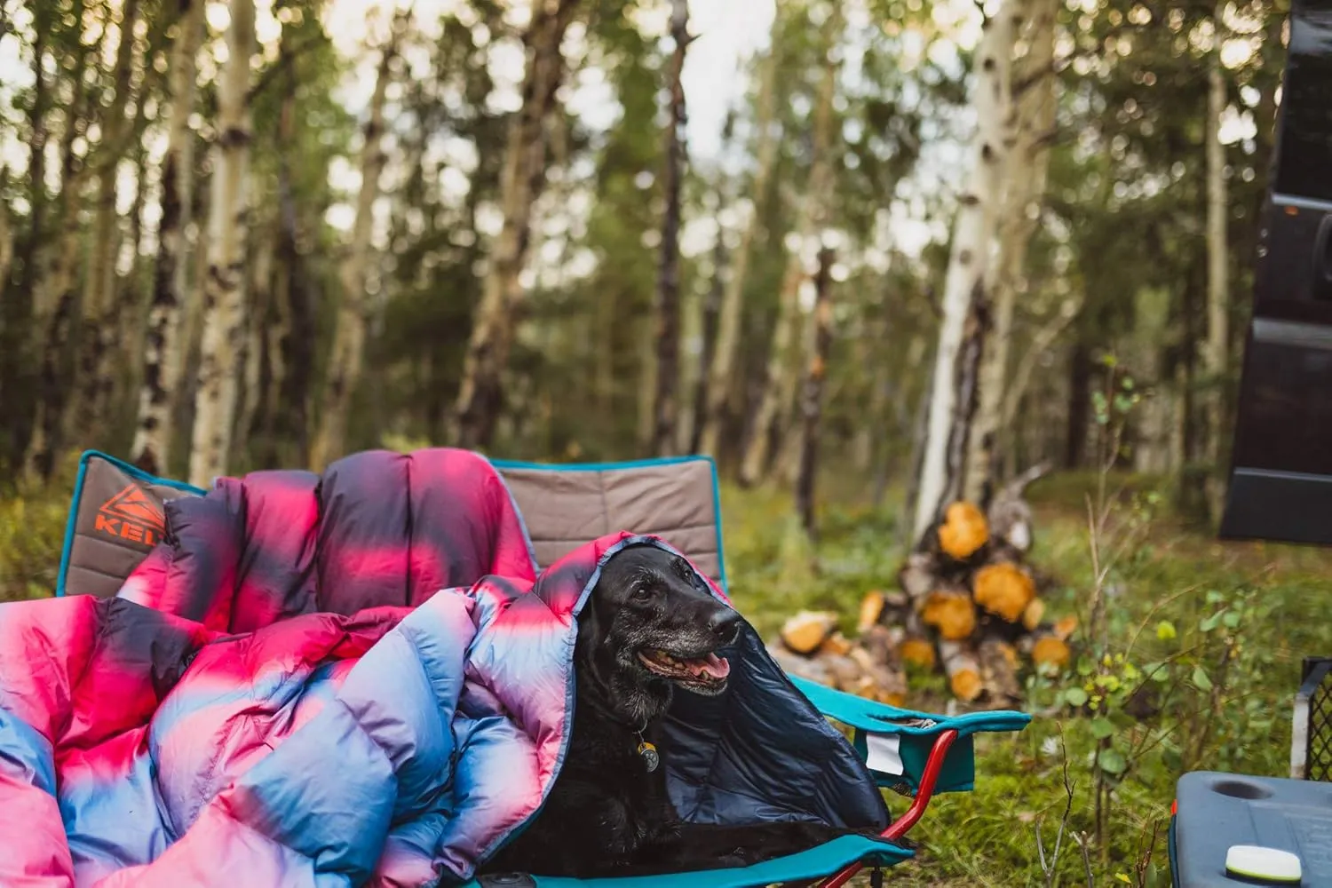 Kelty Galactic Down Blanket - Outdoor   Indoor camping picnic beach and concert blanket