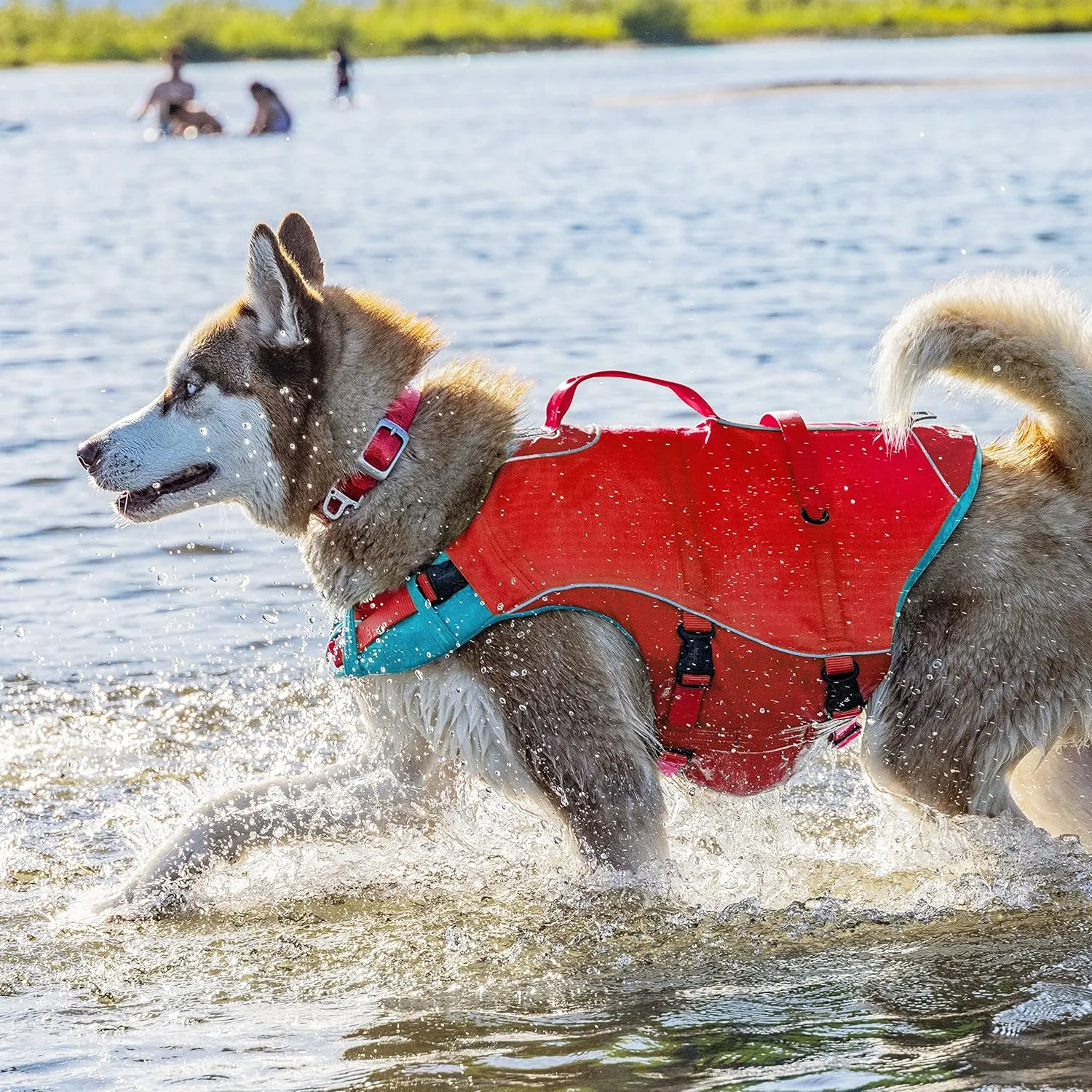 Kurgo Surf n’ Turf Dog Life Jacket | Lifejacket for Dogs | Dog Water Life Vest | Kayak Life Jacket for Pets | Dog Rain Jacket | for Pool or Lake | Reflective | Machine Washable | Chili Red | 5 Sizes