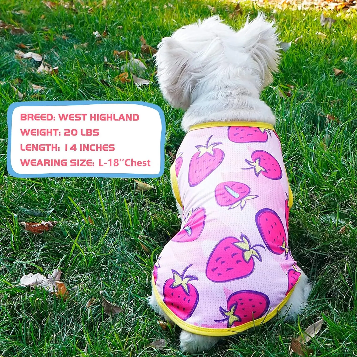 KYEESE 2 Pack Dog Shirt for Small Dogs Quick Dry Lightweight Dog T-Shirts with Reflective Label Tank Top Sleeveless Vest Cat Shirts for Summer UV Protection Strawberry Pattern, Small, Strawberry Rose