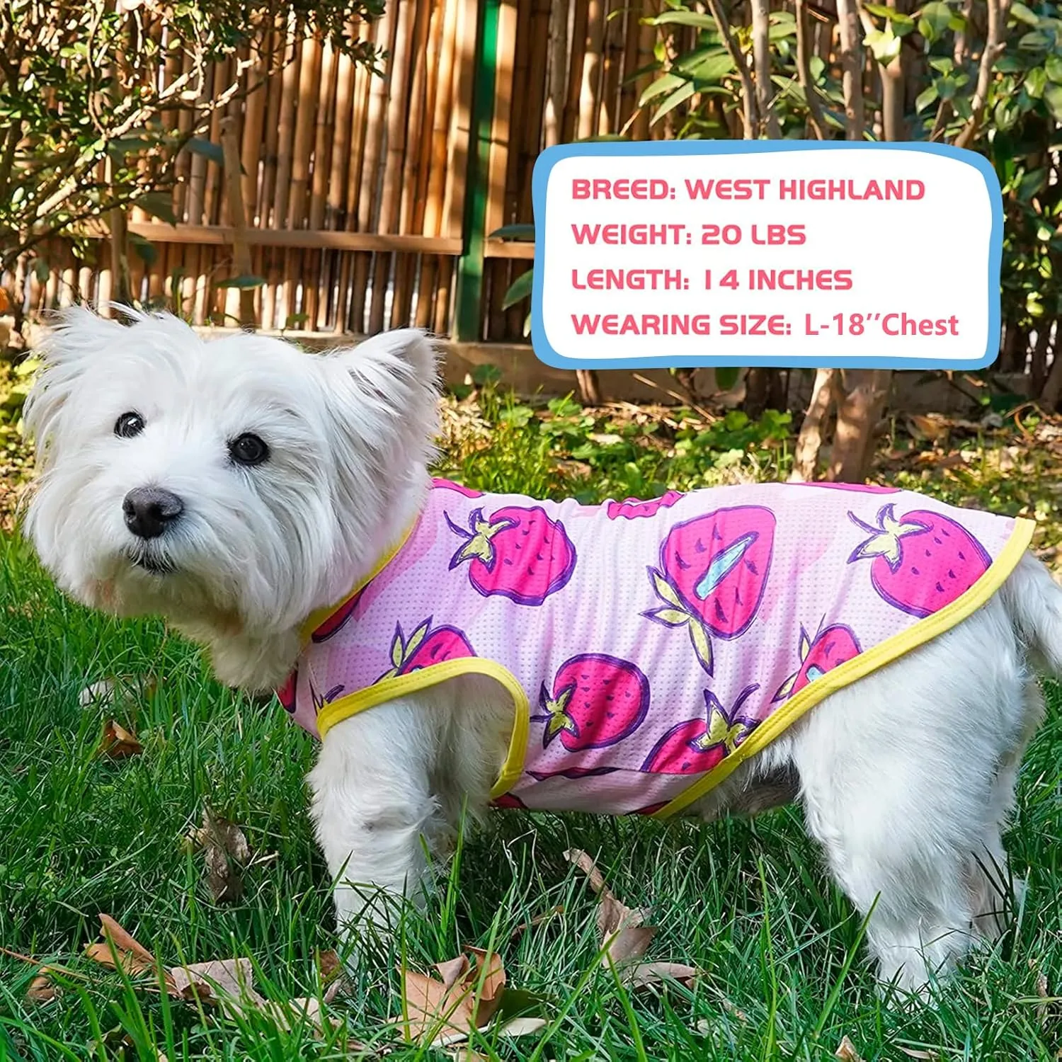 KYEESE 2 Pack Dog Shirt for Small Dogs Quick Dry Lightweight Dog T-Shirts with Reflective Label Tank Top Sleeveless Vest Cat Shirts for Summer UV Protection Strawberry Pattern, Small, Strawberry Rose