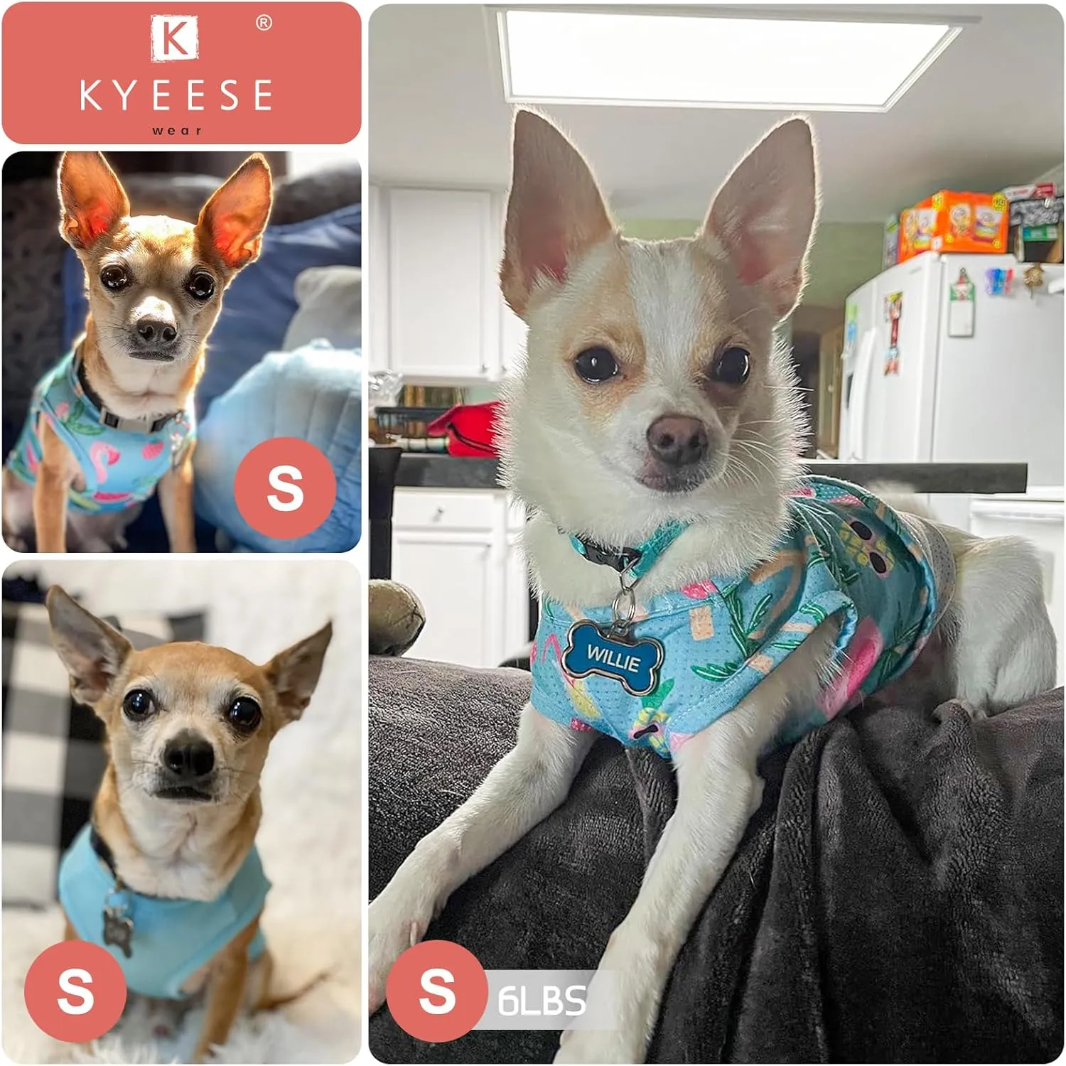KYEESE 2 Pack Dog Shirt for Small Dogs Quick Dry Lightweight Dog T-Shirts with Reflective Label Tank Top Sleeveless Vest Cat Shirts for Summer UV Protection Strawberry Pattern, Small, Strawberry Rose