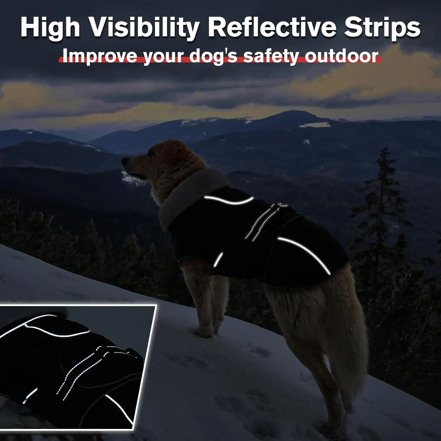 Lelepet Warm Dog Coat Reflective Dog Fleece Vest Waterproof Jacket Windproof Winter Cold Weather Coats with Adjustable Buckle Jackets for Dogs, Black, M