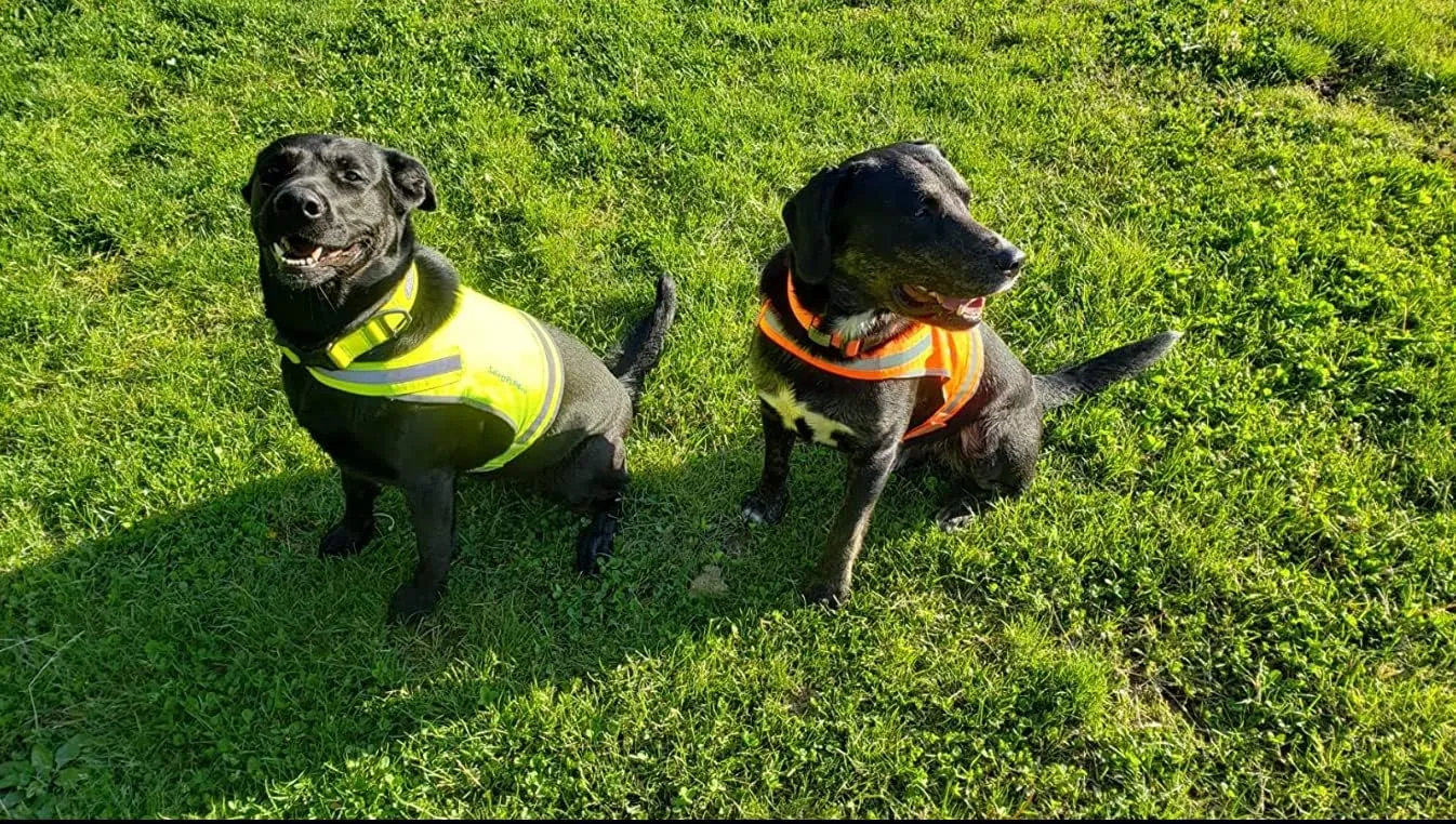 Lite Dog Vest. Coverage to Mid Back. Reflective Hi Visibility Fluorescent Yellow Fabric Helps to Keep Them in Sight and Safe On and Off Leash.