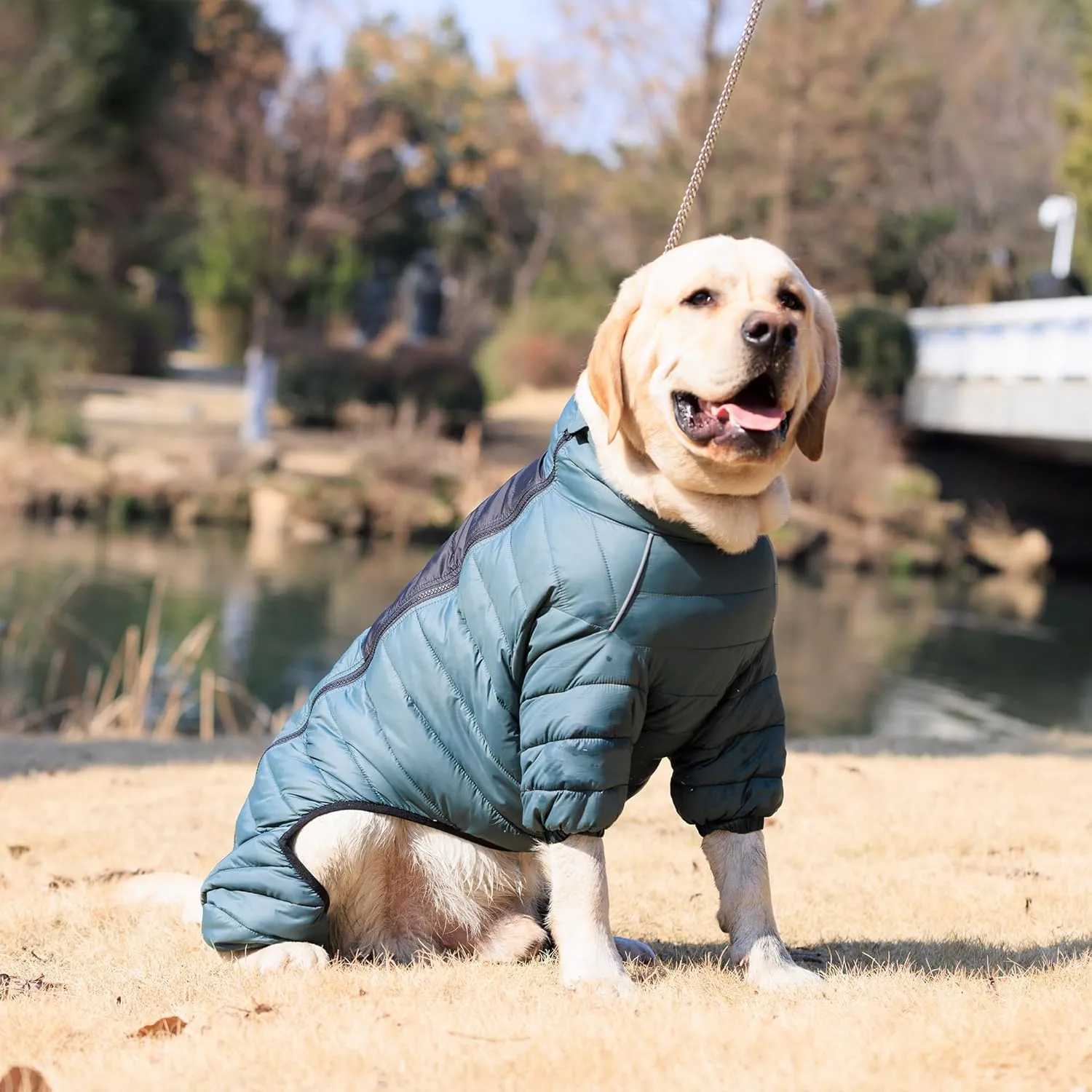 Lovelonglong Dog Coat Dog Warm Jacket, 4 Legs Covered Waterproof Windproof Reflective Warm Dog Vest, Zippered Adjustable Outdoor Dog Snow Jacket for Small Medium Large Dogs ArmyGreen XL