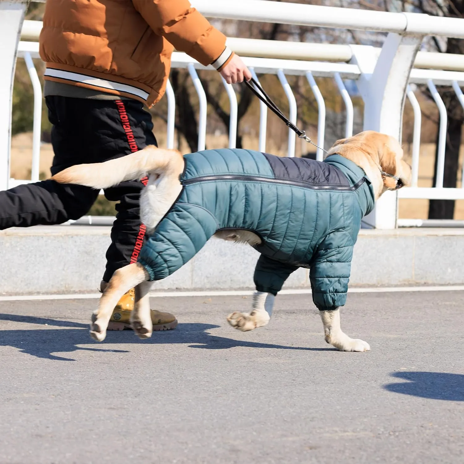 Lovelonglong Dog Coat Dog Warm Jacket, 4 Legs Covered Waterproof Windproof Reflective Warm Dog Vest, Zippered Adjustable Outdoor Dog Snow Jacket for Small Medium Large Dogs ArmyGreen XL