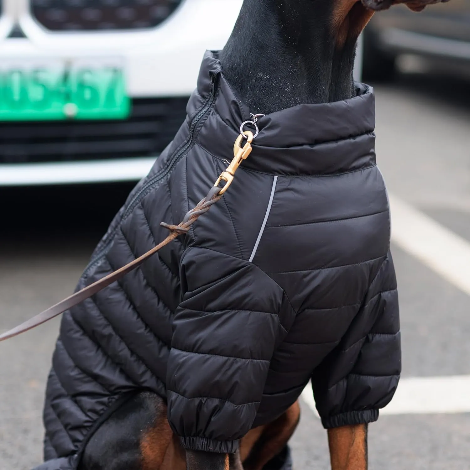 Lovelonglong Dog Coat Dog Warm Jacket, 4 Legs Covered Waterproof Windproof Reflective Warm Dog Vest, Zippered Adjustable Outdoor Dog Snow Jacket for Small Medium Large Dogs Black XL