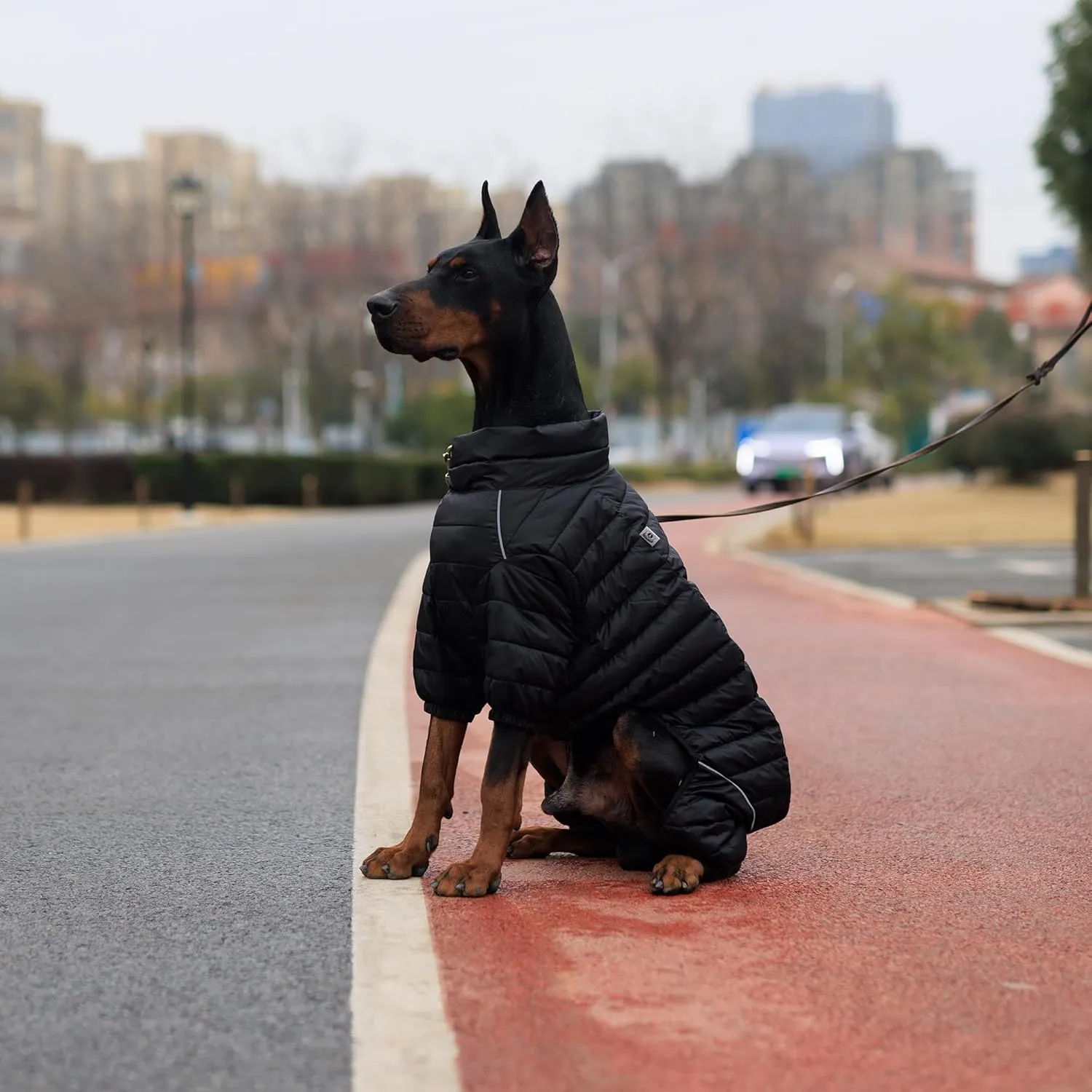Lovelonglong Dog Coat Dog Warm Jacket, 4 Legs Covered Waterproof Windproof Reflective Warm Dog Vest, Zippered Adjustable Outdoor Dog Snow Jacket for Small Medium Large Dogs Black XL
