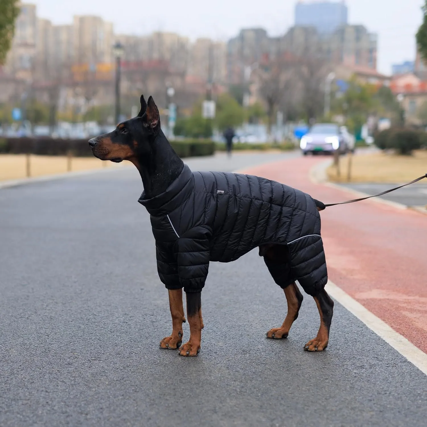 Lovelonglong Dog Coat Dog Warm Jacket, 4 Legs Covered Waterproof Windproof Reflective Warm Dog Vest, Zippered Adjustable Outdoor Dog Snow Jacket for Small Medium Large Dogs Black XL